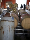 Harvest 2014: Pence Ranch & Winery in Santa Barbara wine country